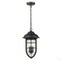 Homeroots 18.5 x 10 x 10 in. Dylan 3-Light Oil-Rubbed Bronze Hanging Lantern 397961 - alternate 9